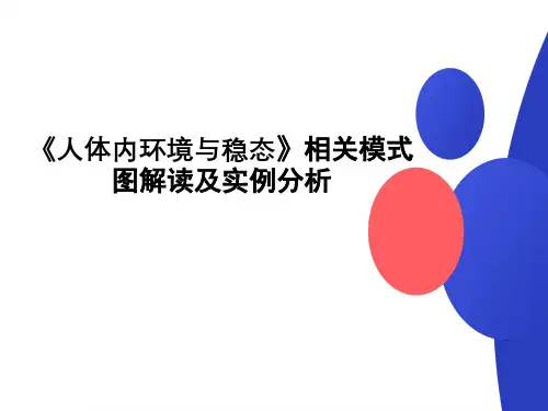 课件2 人体内环境与稳态相关关模式图解读-2024年高考生物复习知识解读及实例分析(全国通用)