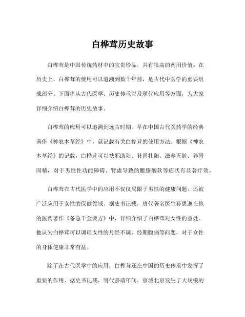 白桦茸历史故事