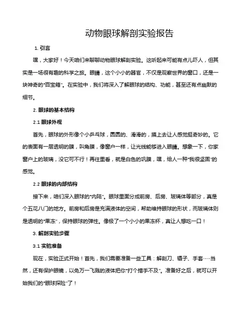 动物眼球解剖实验报告