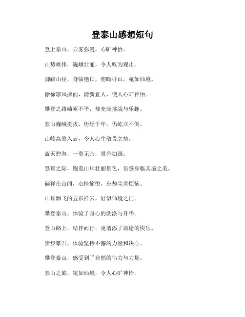 登泰山感想短句