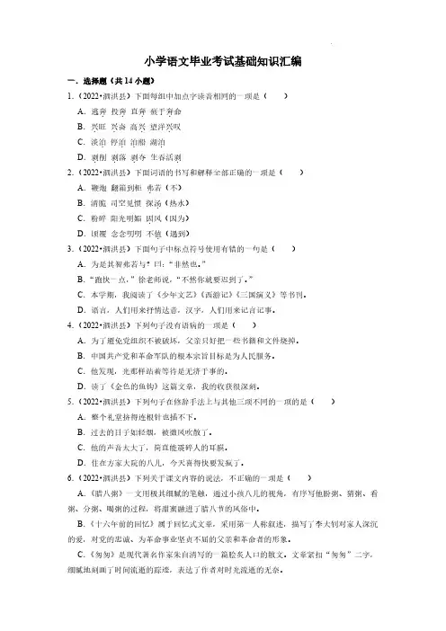 小学毕业考试基础知识汇编-2022-2023学年语文六年级下册(部编版)