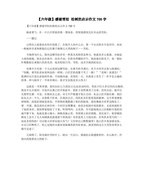【六年级】感谢雪松 松树的启示作文700字