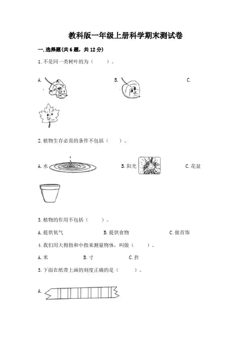 教科版一年级上册科学期末测试卷含答案(综合卷)