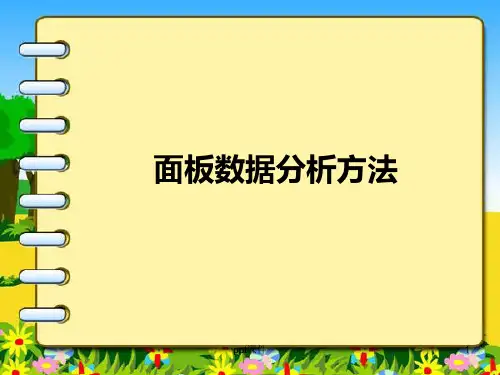 面板数据分析方法  ppt课件
