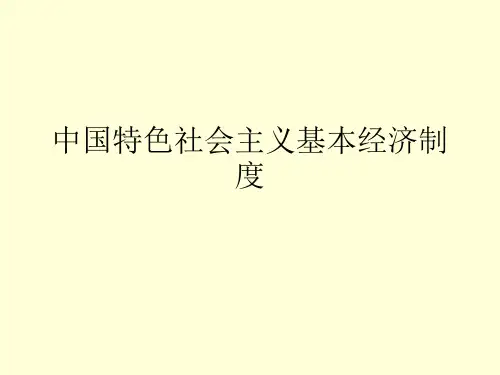中国特色社会主义基本经济制度