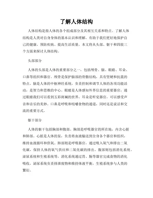 了解人体结构