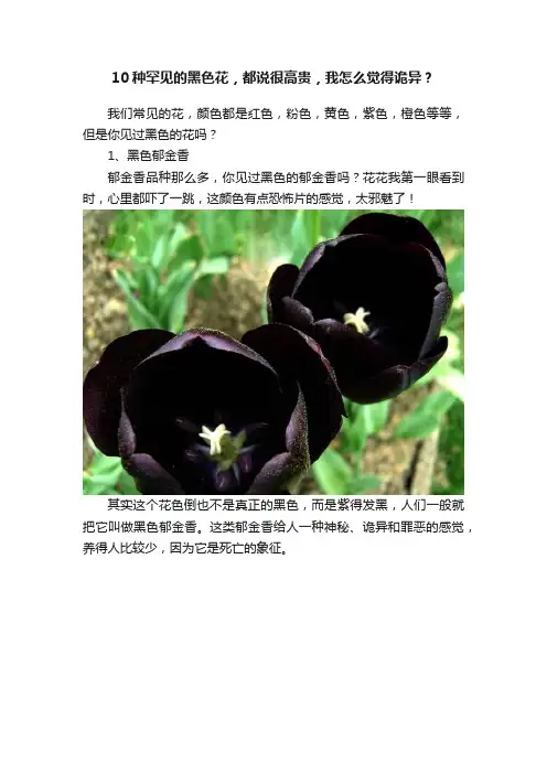 10种罕见的黑色花，都说很高贵，我怎么觉得诡异？