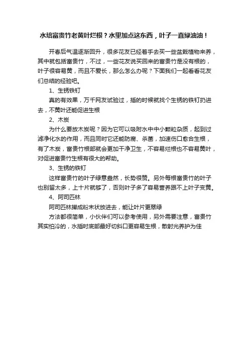 水培富贵竹老黄叶烂根？水里加点这东西，叶子一直绿油油！