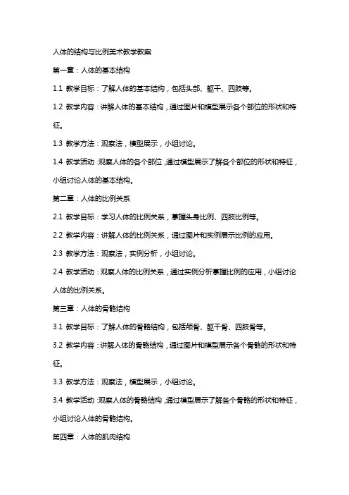 人体的结构与比例美术教学教案