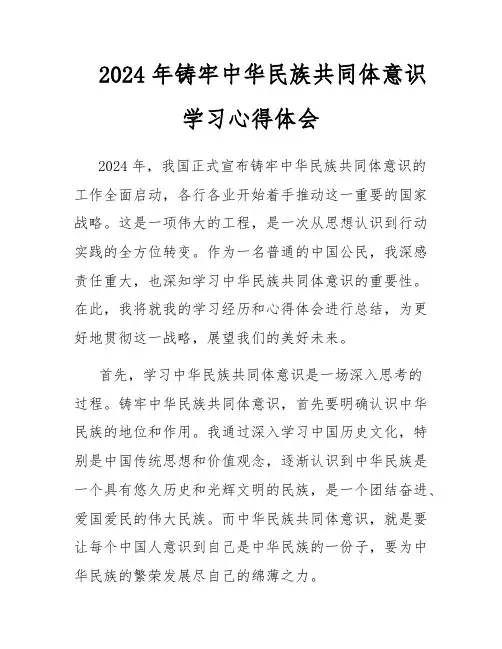 2024年铸牢中华民族共同体意识学习心得体会