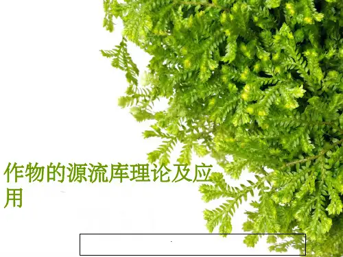 作物的源流库理论及应用ppt课件