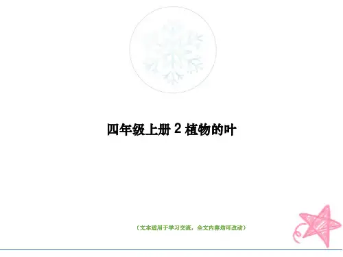 四年级上册 2 植物的叶教学ppt课件(最优版)