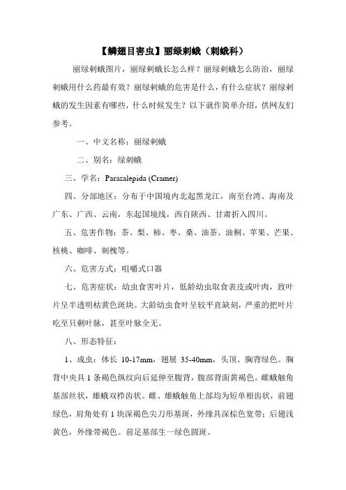 【鳞翅目害虫】丽绿剌蛾(刺蛾科)