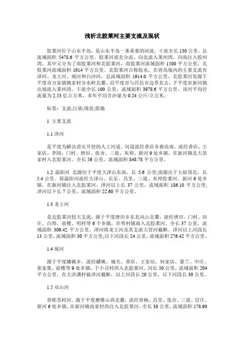 浅析北胶莱河主要支流及现状