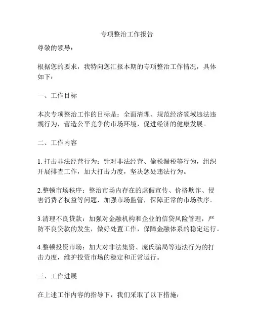 专项整治工作报告