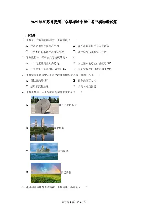 2024年江苏省扬州市京华梅岭中学中考三模物理试题