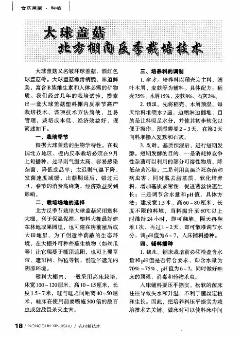 大球盖菇北方棚内反季栽培技术