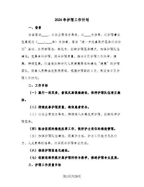 2024年护理工作计划(6篇)