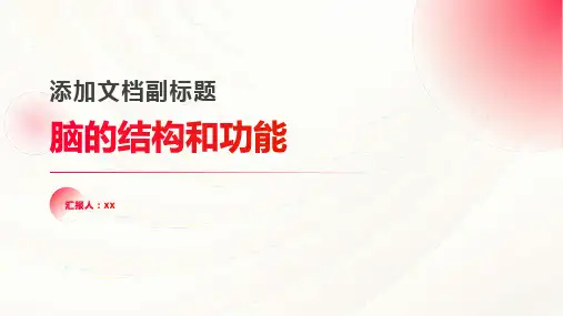 脑的结构和功能