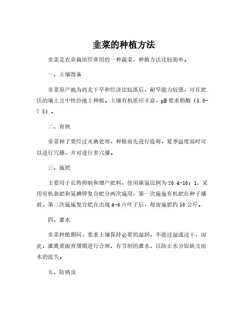 韭菜的种植方法