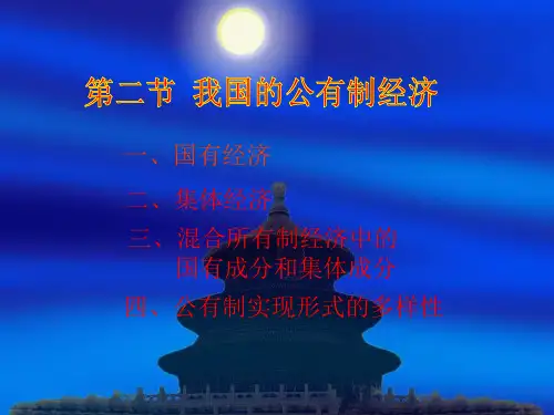 我国的公有制经济