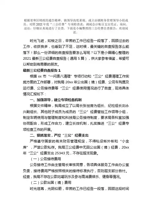 三公经费自查报告