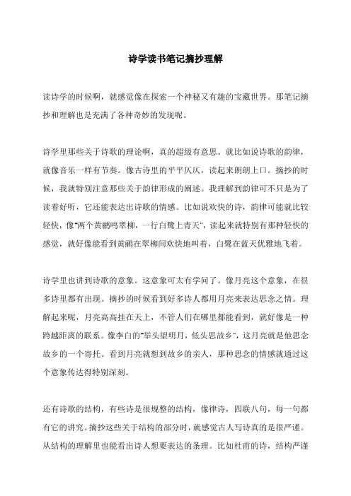 诗学读书笔记摘抄理解