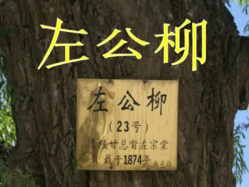 左公柳(语文S版)PPT课件