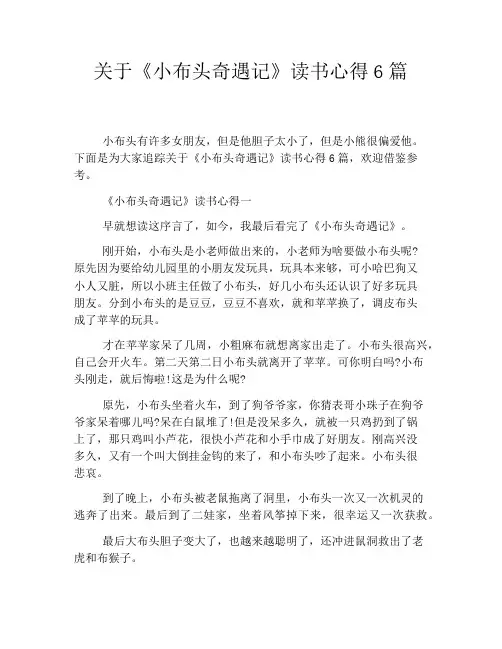关于《小布头奇遇记》读书心得6篇