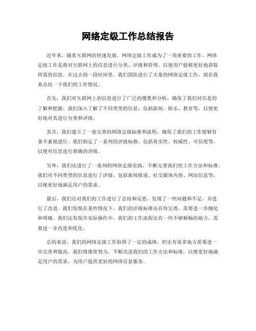 网络定级工作总结报告