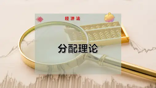 分 配 理 论PPT模板