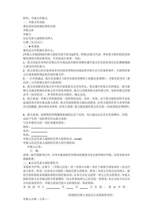 申报文件格式