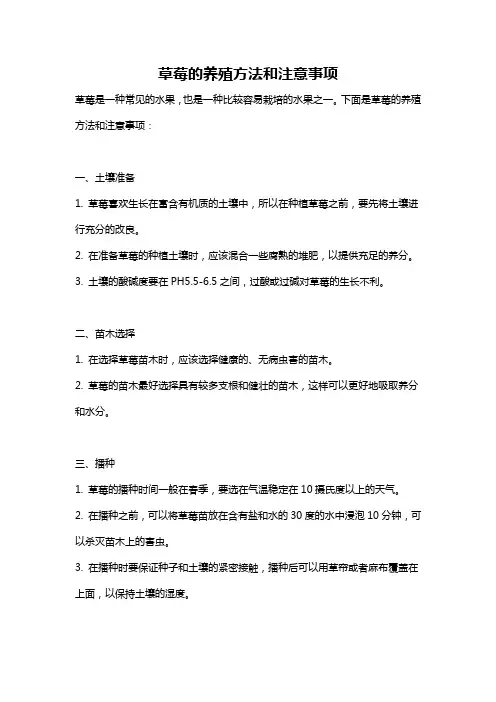 草莓的养殖方法和注意事项