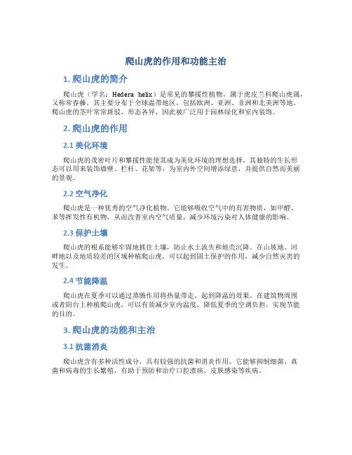 爬山虎的作用和功能主治