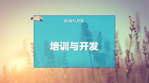 培训与开发