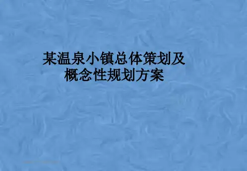 某温泉小镇总体策划及概念性规划方案