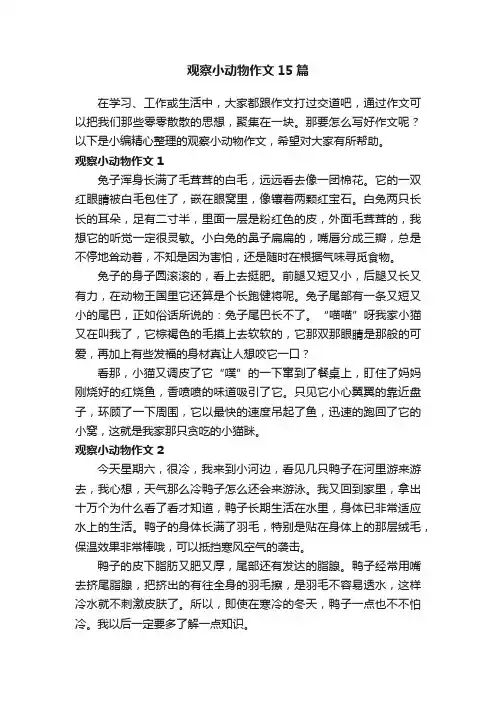 观察小动物作文15篇