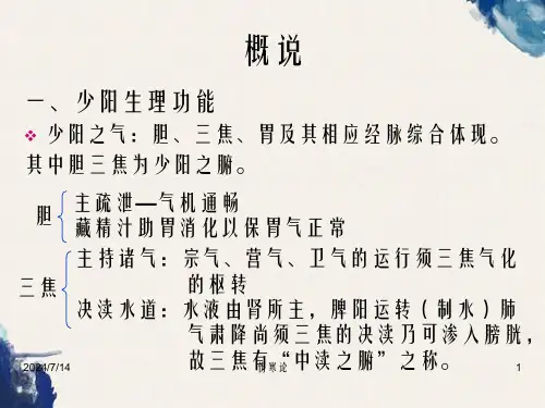 伤寒论辨少阳病脉证并治