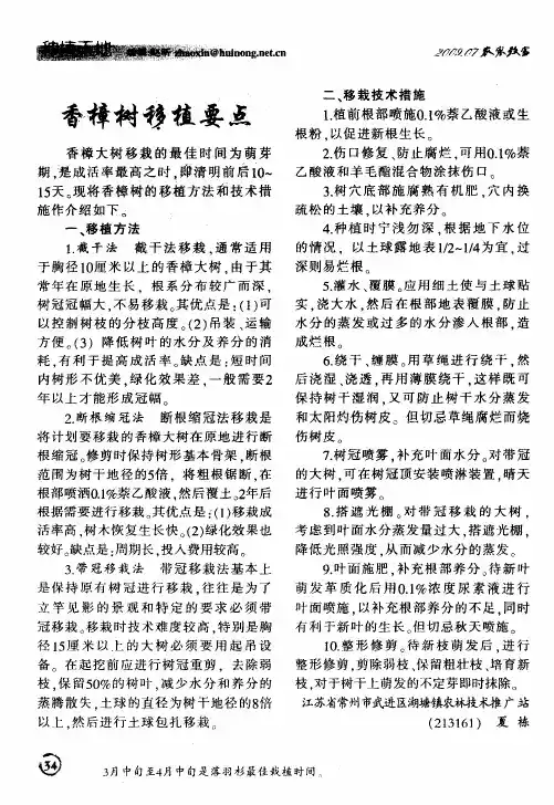 香樟树移植要点