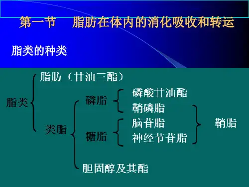 脂肪在体内的消化吸收和转运课件