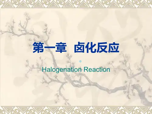 第一章卤化反应