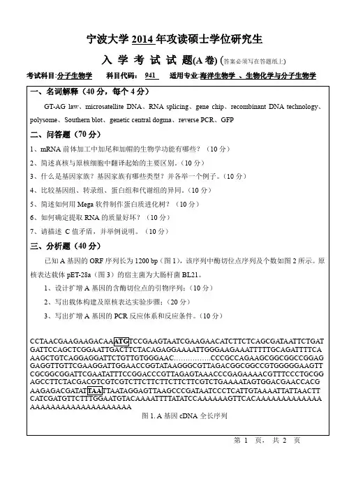 2014-2015年宁波大学考研初试真题941分子生物学A卷