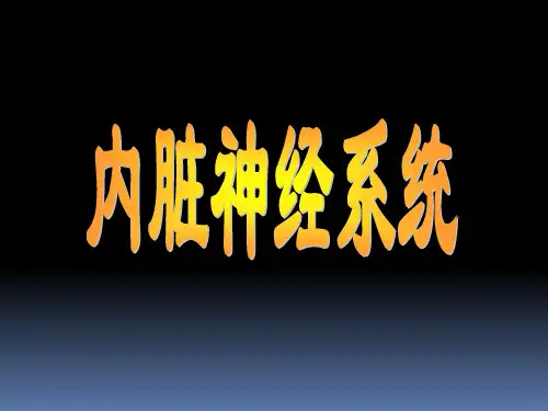 自主神经系统PPT精品课件