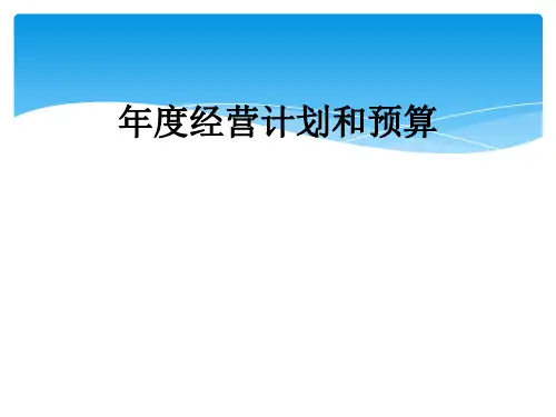 年度经营计划和预算