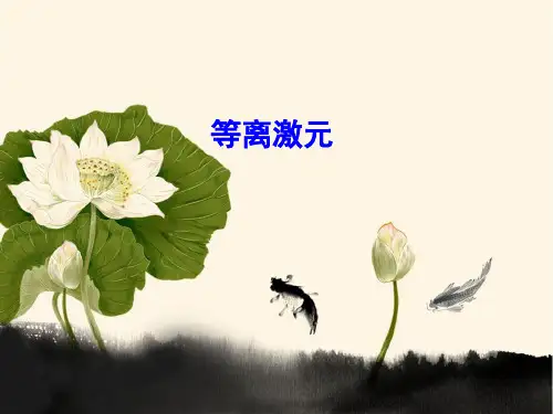 等离激元ppt课件