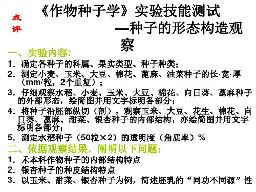 七年级生物种子的萌发1(1)(PPT)2-1