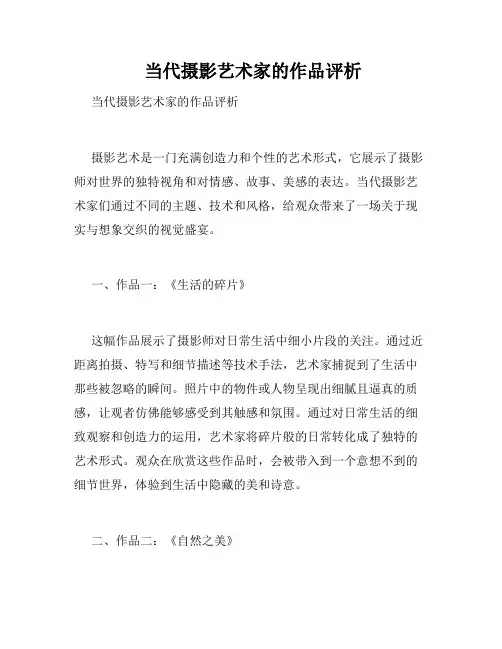  当代摄影艺术家的作品评析