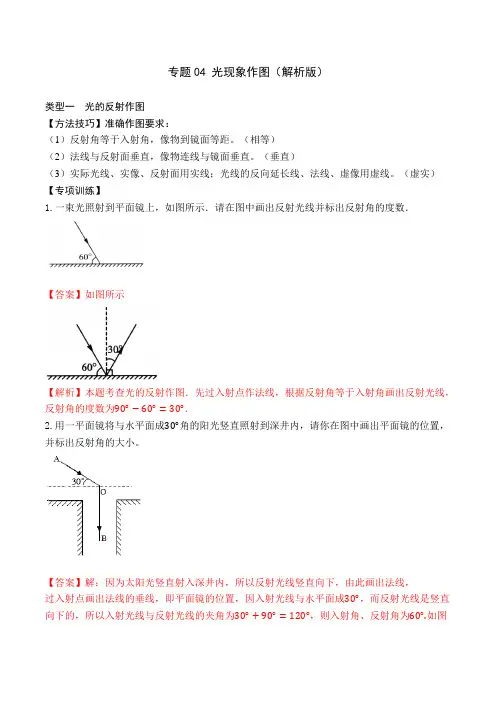 专题04光现象作图(解析版)