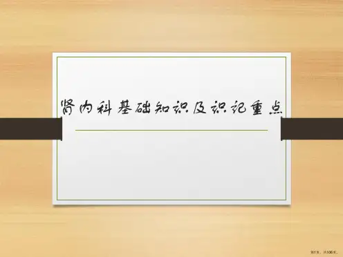 肾内科基础知识及识记重点