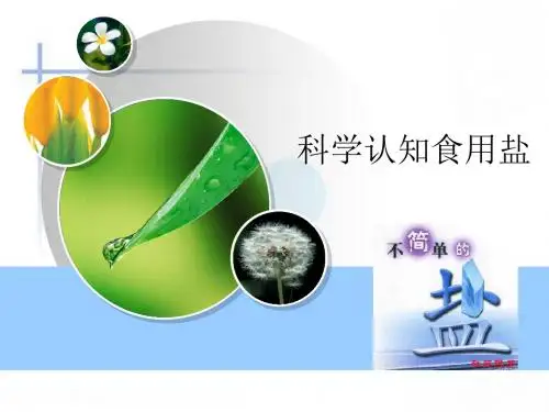 科学认知食用盐 PPT